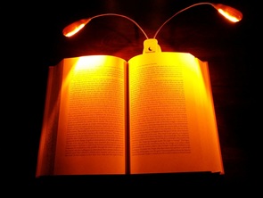Native Amber LED Book Light